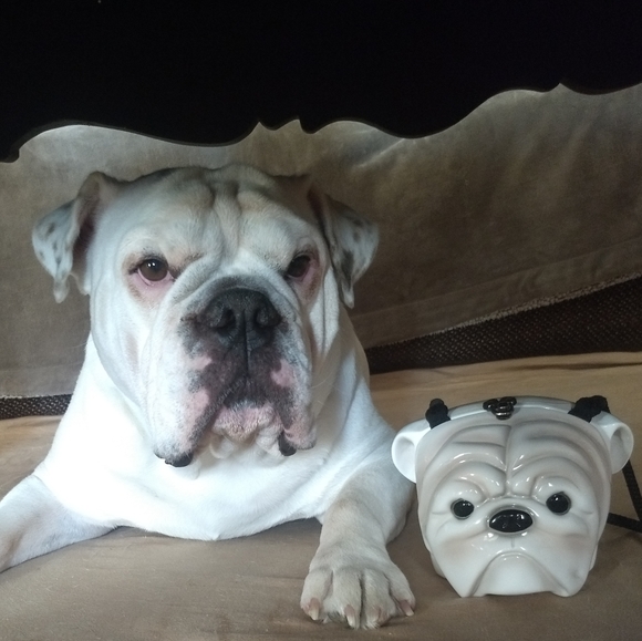 Meet your Poshmark Ambassador Tera - Picture 7 of 8